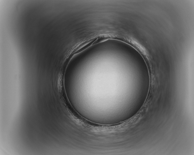 X0000116320009200912011122