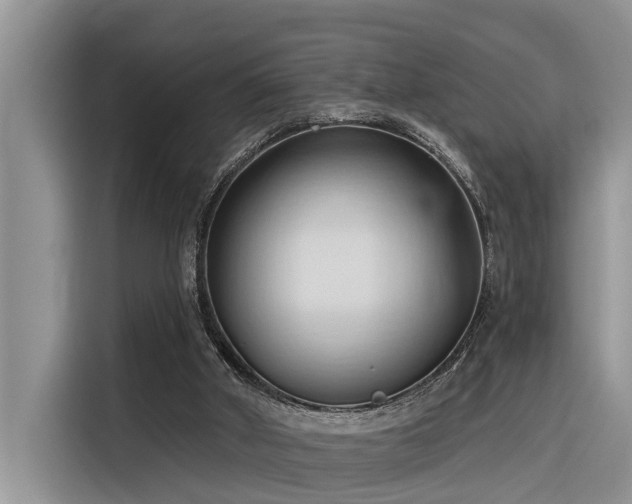 X0000116320010200912011122