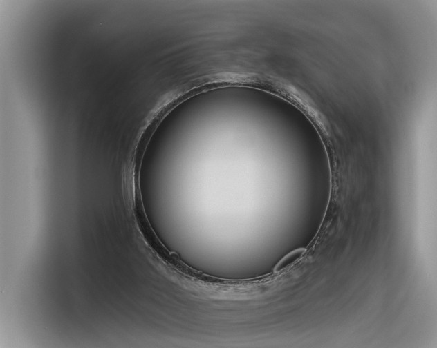 X0000116320011200912011121