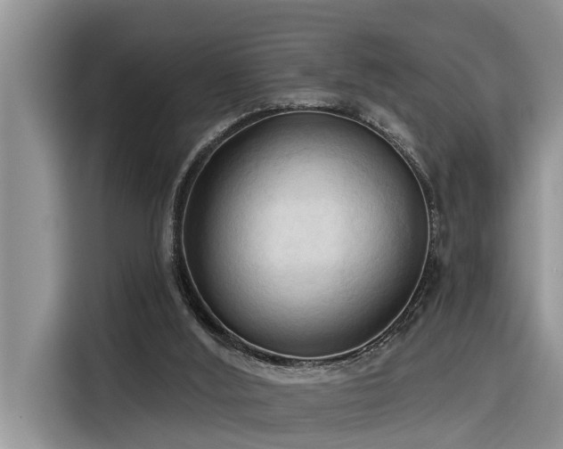 X0000116320012200912011121