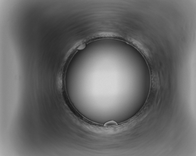 X0000116320015200912011121