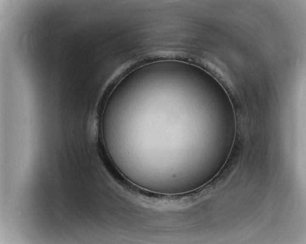 X0000116320016200912011121