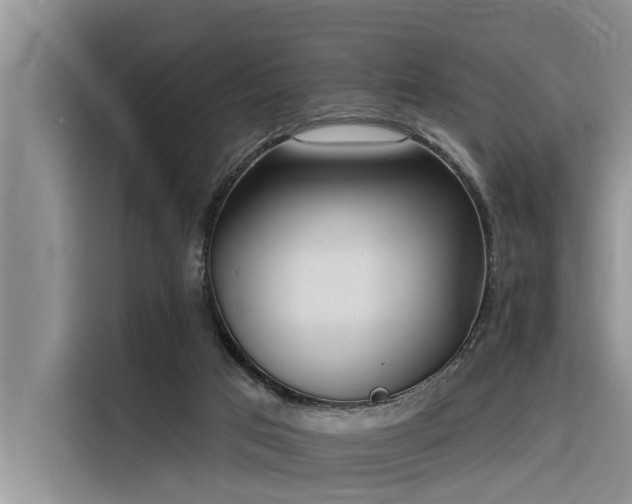 X0000116320017200912011121