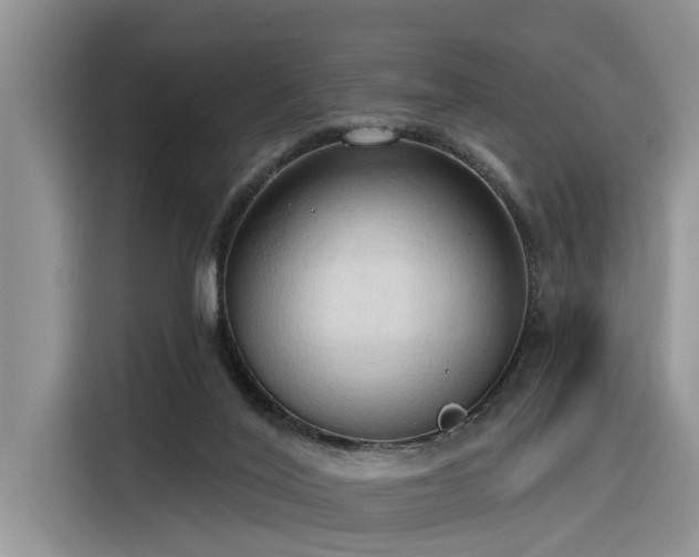 X0000116320020200912011121