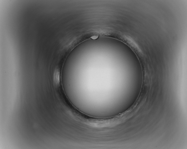 X0000116320021200912011121