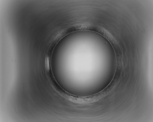 X0000116320022200912011121