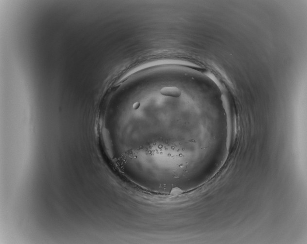 X0000116320023200912011121