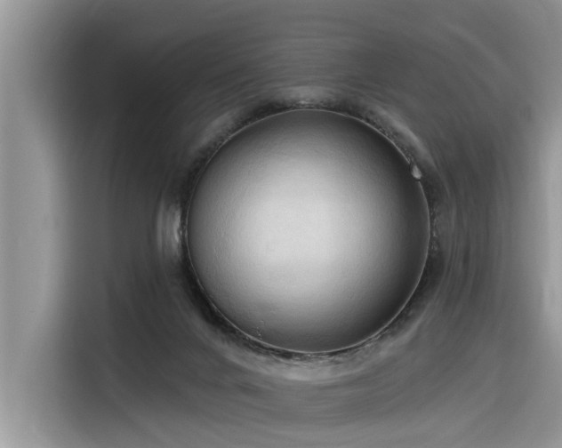 X0000116320024200912011121