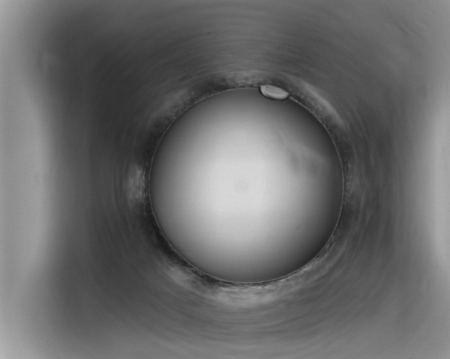 X0000116320025200912011121