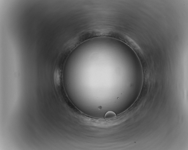 X0000116320026200912011121