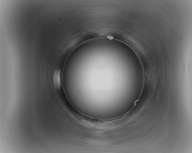 X0000116320028200912011121