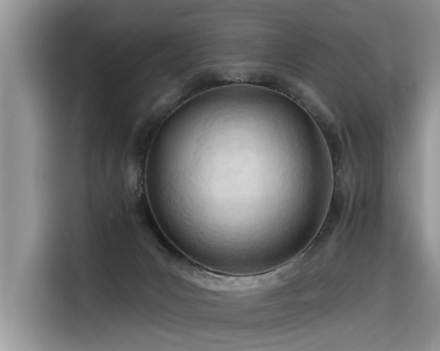 X0000116320031200912011121