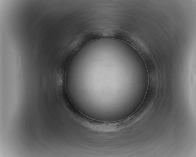 X0000116320032200912011121