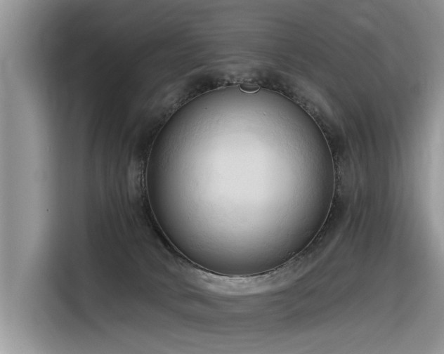 X0000116320034200912011121