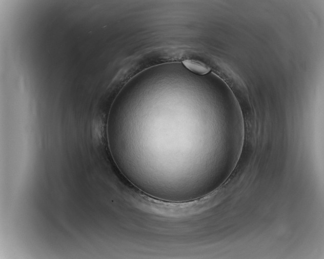 X0000116320035200912011121