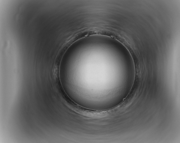 X0000116320036200912011121