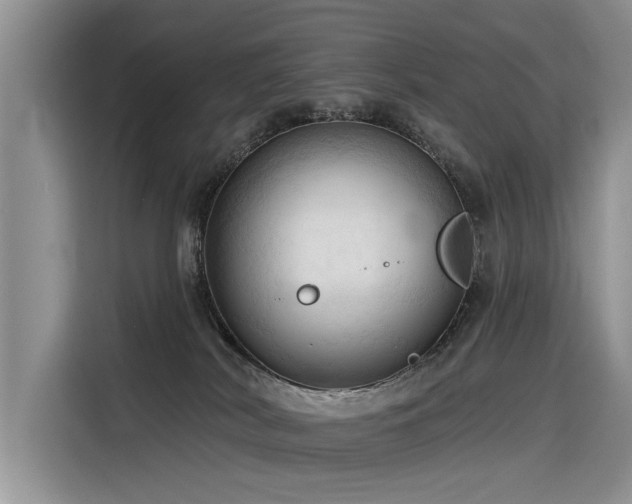 X0000116320038200912011121