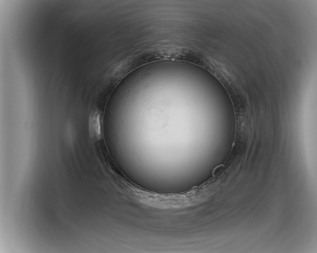 X0000116320042200912011121