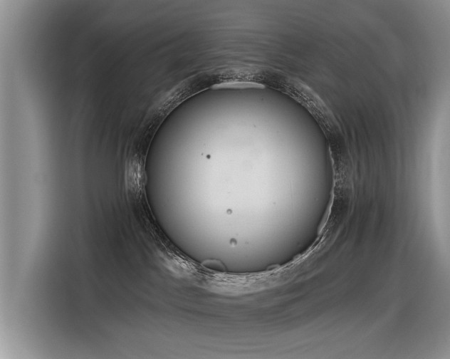 X0000116320045200912011121