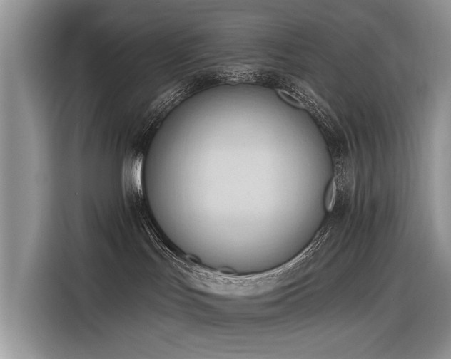 X0000116320047200912011121