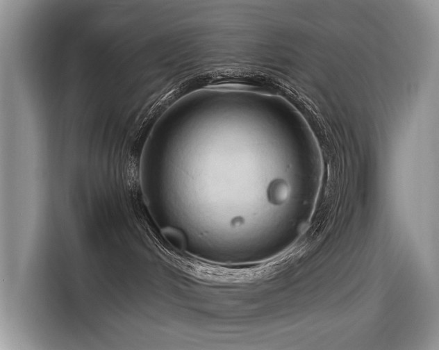 X0000116320048200912011121