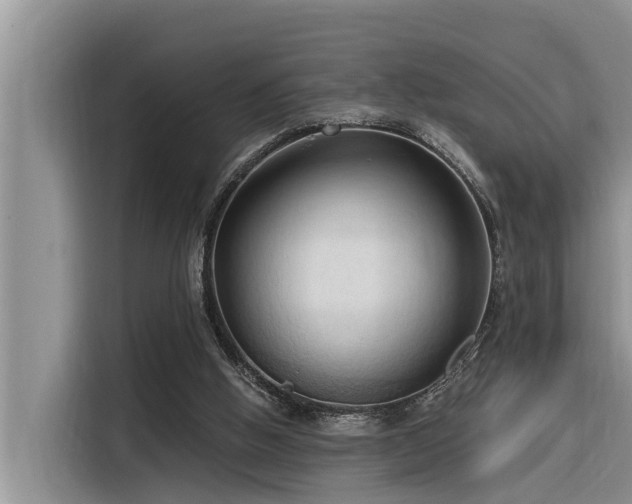 X0000116320058200912011121