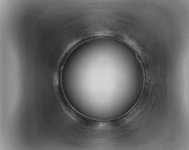 X0000116320060200912011121