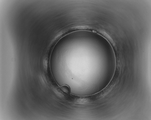 X0000116320063200912011121