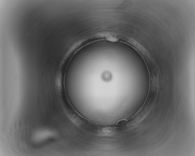 X0000116320064200912011121