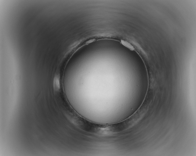 X0000116320068200912011121