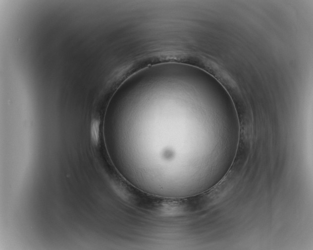 X0000116320070200912011121