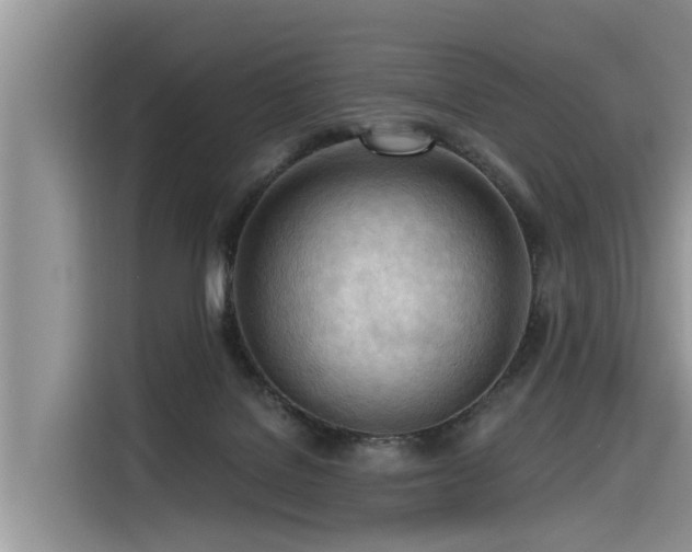 X0000116320076200912011121