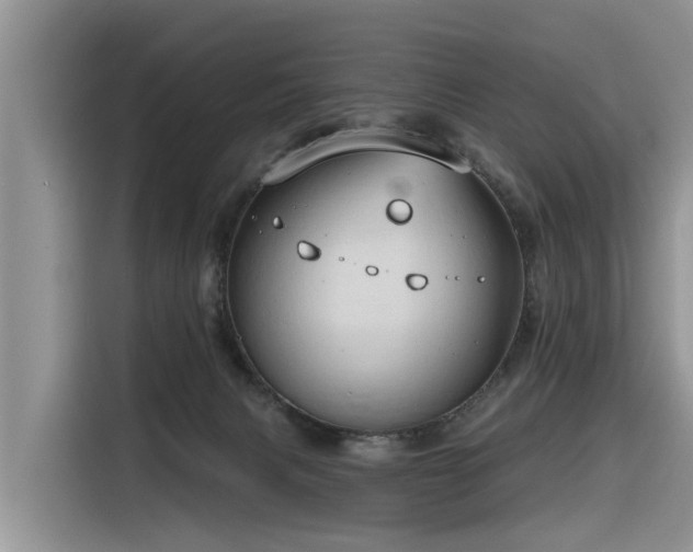 X0000116320079200912011121