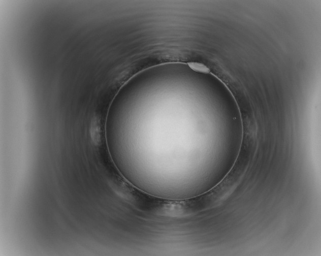 X0000116320080200912011121