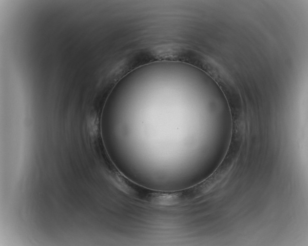 X0000116320081200912011121