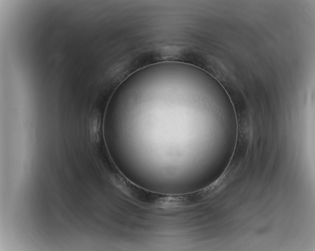 X0000116320082200912011121