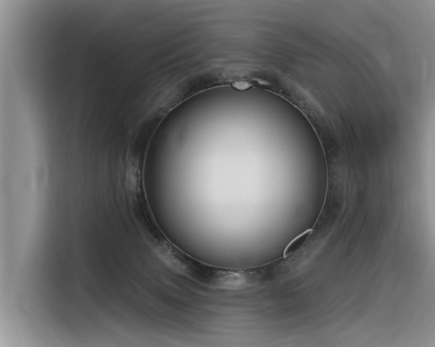 X0000116320083200912011121