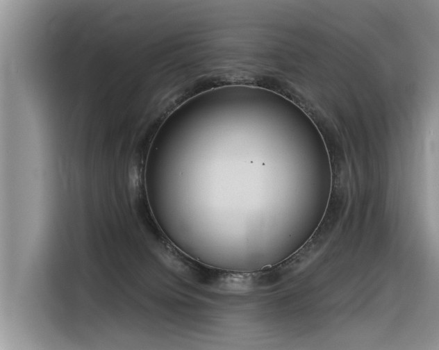 X0000116320084200912011121