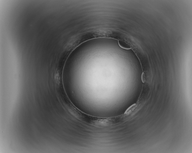 X0000116320086200912011121