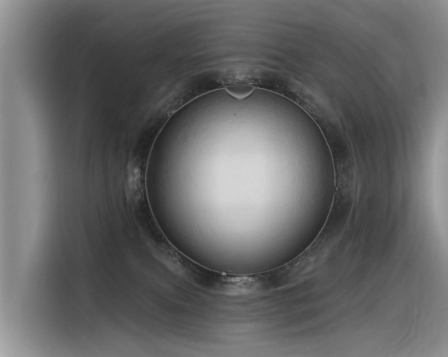 X0000116320087200912011121