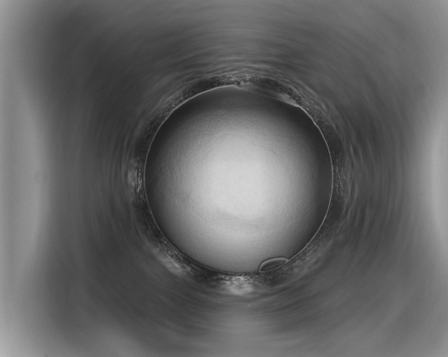 X0000116320091200912011121