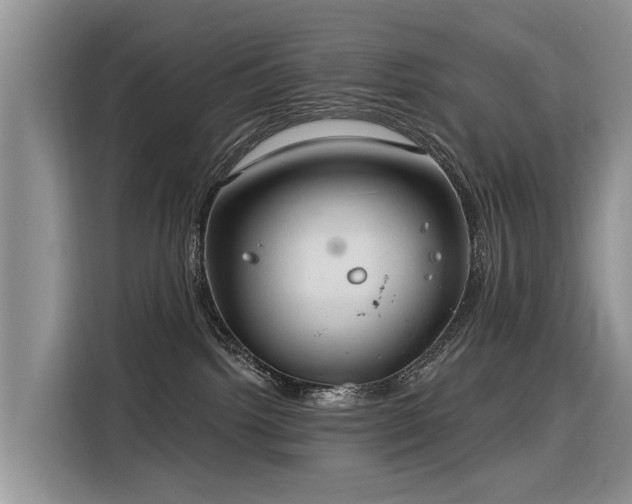 X0000116320092200912011121