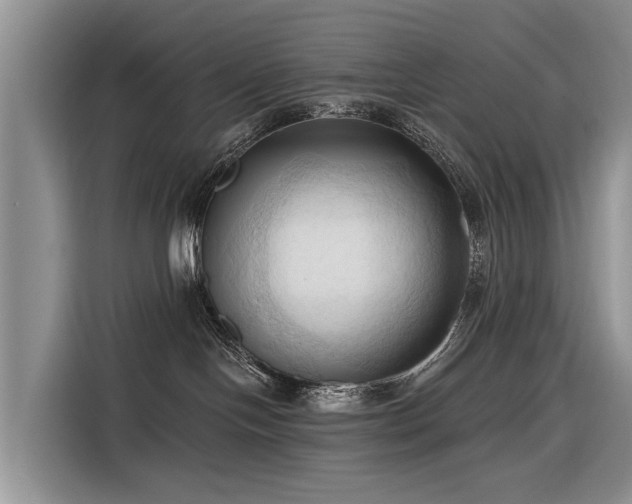 X0000116320094200912011121