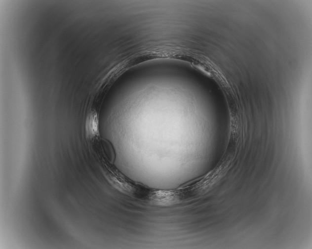 X0000116320095200912011121