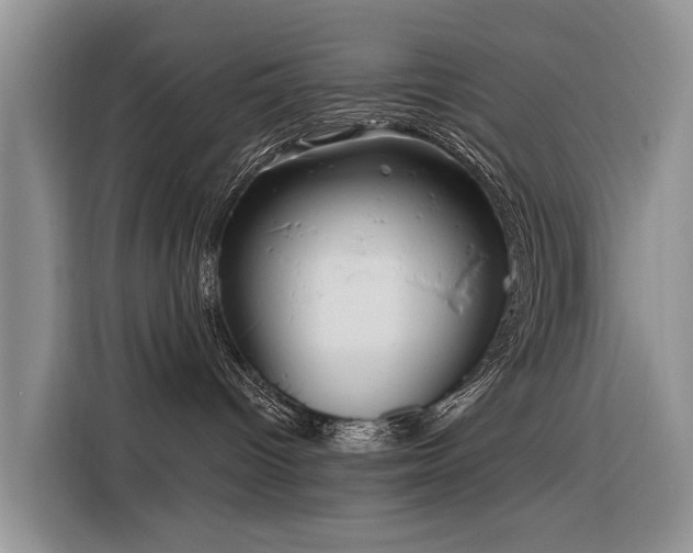 X0000116320096200912011121