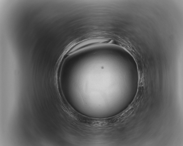 X0000116320099200912011120