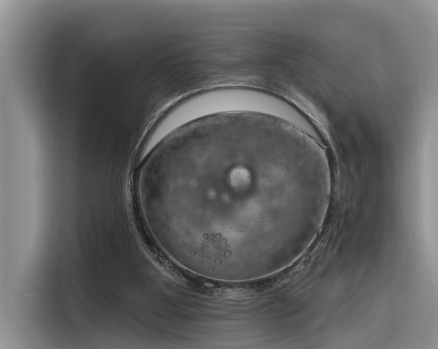 X0000116320107200912011120