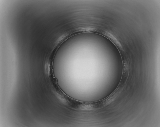 X0000116320110200912011120