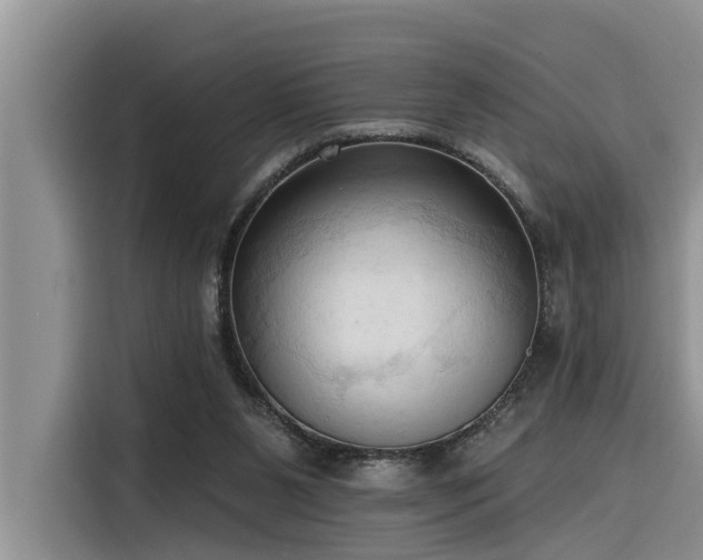 X0000116320111200912011120