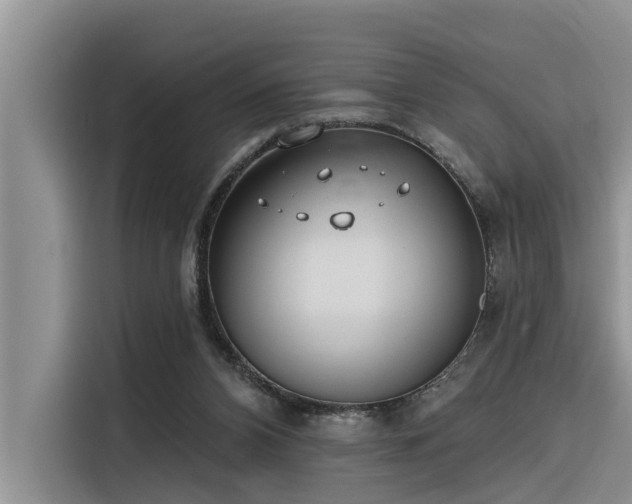 X0000116320112200912011120